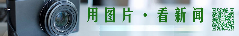 圖片站首頁通欄